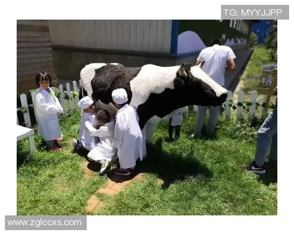 足球牛奶的奇妙结合如何助力运动员提升表现与健康